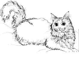 Elegant cat with large tail. Free Printable Cat Coloring Pages For Kids Cat Coloring Page Animal Coloring Pages Coloring Pages