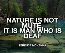 Nature Is Not Mute It Is Man Who Is Deaf Terrence Mckenna Nature Quotes Terence Mckenna Psychedelic Quotes
