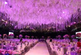 Bunga ungu, lavender inggris tanaman lavender prancis pianta aromatica lavandula dentata, lavanda, tanaman herba, warna png. Dekorasi Pelaminan Nuansa Ungu Dekorasi Pelaminan