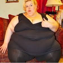 Bildergebnis für ssbbw