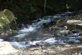 En el último mes, el valor promedio de alquiler de departamentos en santa fe fue $ 21.461 (un 6.7% superior a la media de santa fe), posicionando a santa fe como una excelente opción para alquilar inmuebles dentro de santa fe. Parque Nacional Santa Fe Ilha De Coiba Panama Rotas Turisticas