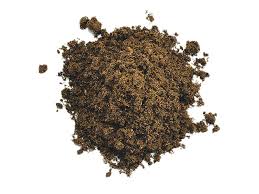 Image result for peat moss