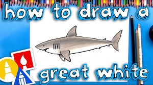 Kids of any ages 3 and over can learn how to draw using these step by step video tutorials. How To Draw A Great White Shark Youtube