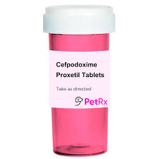 Image result for Cefpodoxime