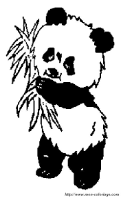 Ausmalbilder Panda Bild Panda7