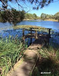 Quietude Au Lac D Hourtin Nature Paysage Soulac Sur Mer Paysage