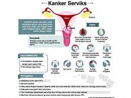 Vaksin hpv memberikan pelindungan terhadap kanser servik wanita. Lawan Kanker Serviks Dengan Vaksin Dan Screening