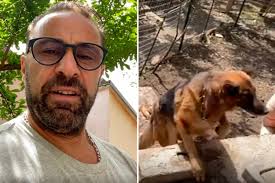 RHONJ's Joe Giudice slammed by fans for keeping his German Shepherd Luna in  a 'dirt cage'