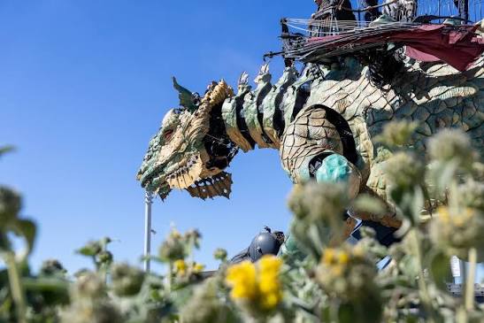 Compagnie du Dragon | Calais