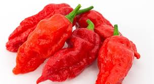 All of a sudden the air turned cold; The Ghost Pepper Is Cultivated In Trivia Questions Quizzclub