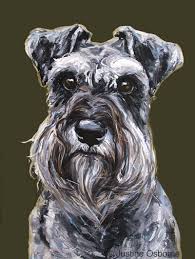 Schnauzer
