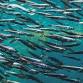 The South West Marine Fest Conference event image