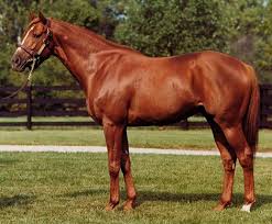 Image result for Dark Harvest Gold 1972 Fedders