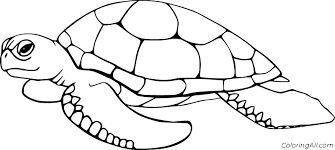 See more ideas about turtle coloring pages, coloring pages, turtle. Turtle Coloring Pages Coloringall