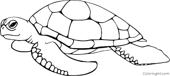 5 thoughts i had while streaming the 'loki' season finale Turtle Coloring Pages Coloringall