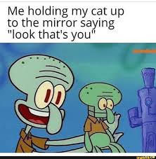 Me Holding My Cat Up To The Mirror Saying Look That S You Ifunny Really Funny Memes Funny Spongebob Memes Funny Relatable Memes