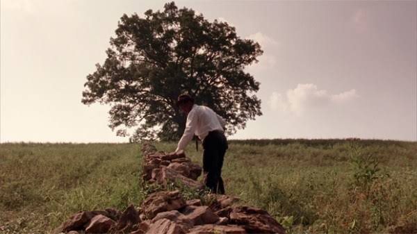 The Shawshank Redemption Tree Has Fallen