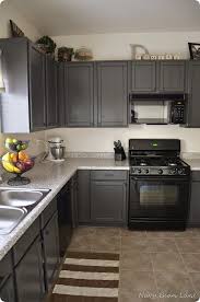 gray kitchen cabinets before & after