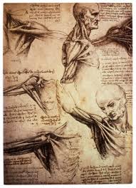 Das Lebendige Im Toten Erkennen Uber Die Geschichte Der Anatomie Mein Studienort Via Medici