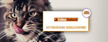 If you prefer dry cat food for your furry friend, you should only choose the best of the best. Feline Natural Cat Kitten Food Coupons Review Recalls 2021