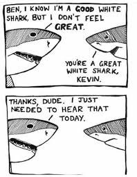 20 Wholesome Memes To Help Keep You In A Positive Headspace Shark Week Memes Positive Memes Shark Jokes