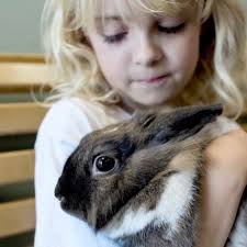 🐾❤️😍DO YOU WANT TO BECOME A VOLUNTEER ? 🐾❤️‼️ The NEXT GENERAL VOLUNTEER  ORIENTATION WILL BE SEPTEMBER 22, 2024 . Volunteer classes takes place at  our shelter located at 749 East Main