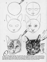 How to draw a zebra. 34 Draw Cat Eyey Ideas Drawings Cat Drawing Animal Drawings