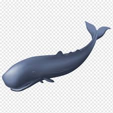 Jangan buru pausnya karena hewan dilindungi. Sperm Whale Cartoon Whale Cartoon Character Marine Mammal Animals Png Pngwing