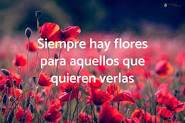 110 frases de flores cortas y de amor - &iexcl;Inspírate con las ...