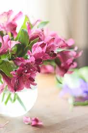 3088 x 2803 jpeg 807 кб. Arranging Your Supermarket Alstroemeria In A Dollar Store Vase Made By Carli