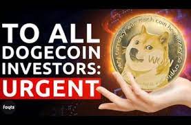 Britta pedersen/pool/afp via getty images. Elon Musk Invest In Dogecoin Starlink Free