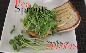 Being highly nutritious, sprouts benefit our hair to a great extent. Eat Your Peas Sprouts Pea Sprout Extract Proven Increase Hair Growth Bellemocha Com