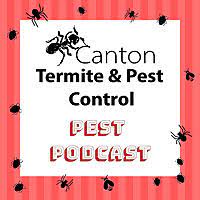 Mike from perkins pest control was awesome and professional at all times. Top 20 Pest Control Podcasts You Must Follow In 2021