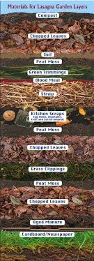 Organic Gardens Network Lasagna Gardening Infographic Gardening Infographic Lasagna Gardening Garden Soil