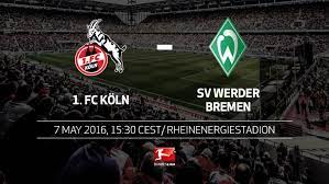 Relevante informationen für köln — bremen: Bundesliga Bundesliga Matchday 33 1 Fc Koln Sv Werder Bremen Preview