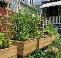 What Are Five Ways to Use a Small Urban Backyard? | Networx