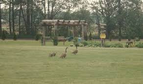 Maybe you would like to learn more about one of these? Pin On Telephone Poles