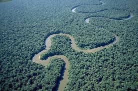 Maybe you would like to learn more about one of these? Pin On Curiosidades Venezuela