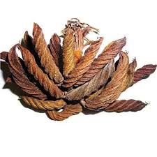 Image result for Helicteres