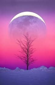 Moon Shawdow I M Being Followed By A Moon Shadow Moon Shadow Moon Shadow Cat St Moon Images Christmas Wallpaper Backgrounds Christmas Aesthetic Wallpaper