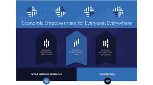 We have raised $1.7 billion since inception across our firm. Visa Economic Empowerment Institute Introduction Visa