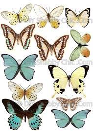 We did not find results for: Waterslide Decals Shabby Chic Furniture Image Transfer Vintage Etsy Butterfly Art Butterfly Drawing Vintage Butterfly