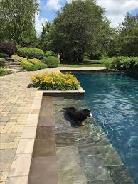 I Like The Edge No Bullnose Tile Etiennehoed Pool Patio Pool Landscaping Swimming Pool Designs