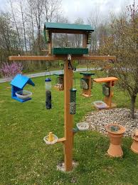 Bird Feeding Station Ideas Bird Feeder Station With Open Air Platform Feeder Bluebird Feeder Sunflower Tube Feeder Wh Bird Feeder Station Backyard Birds Sanctuary Bird Feeding Station