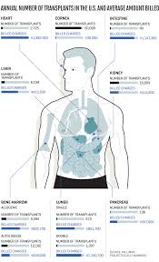 Heres What Every Organ In The Body Would Cost To Transplant