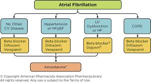 Image result for Atrial Fibrillation Rhythm Control