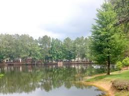 Frequently asked questions about peach creek rv park. Rv Parks In Conroe Texas Conroe Texas Campgrounds