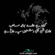 100 Best Attitude Quotes In Urdu Ignorance Quotes