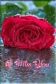 We miss them whether they are away for years, months, or even a day. I Miss You Flowers Miss You I Miss You