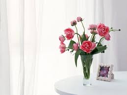 Maybe you would like to learn more about one of these? 7 Tricks To Make Flowers Last Forever Pouted Com